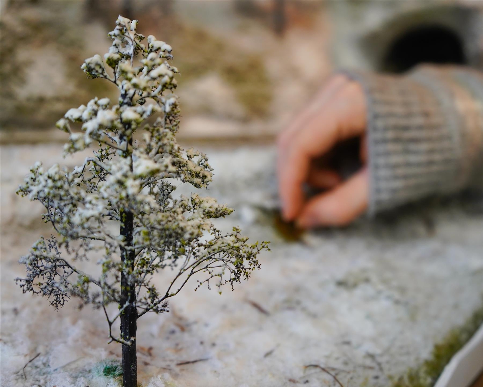 Seafoam Trees Box Mixed Size | Model Scenery