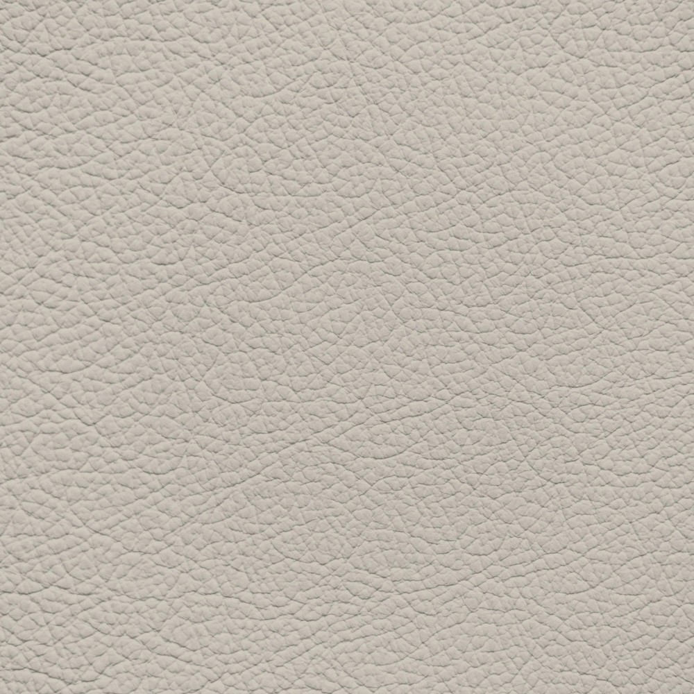 BMW Oyster Leather Dye