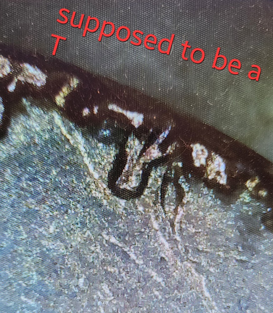 1949 D Planchet Error cent. 🧐🪙 #coin #error #cent