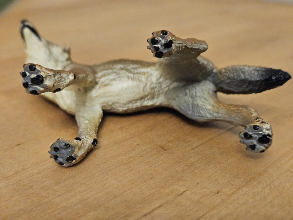 Safari Ltd. COYOTE Female