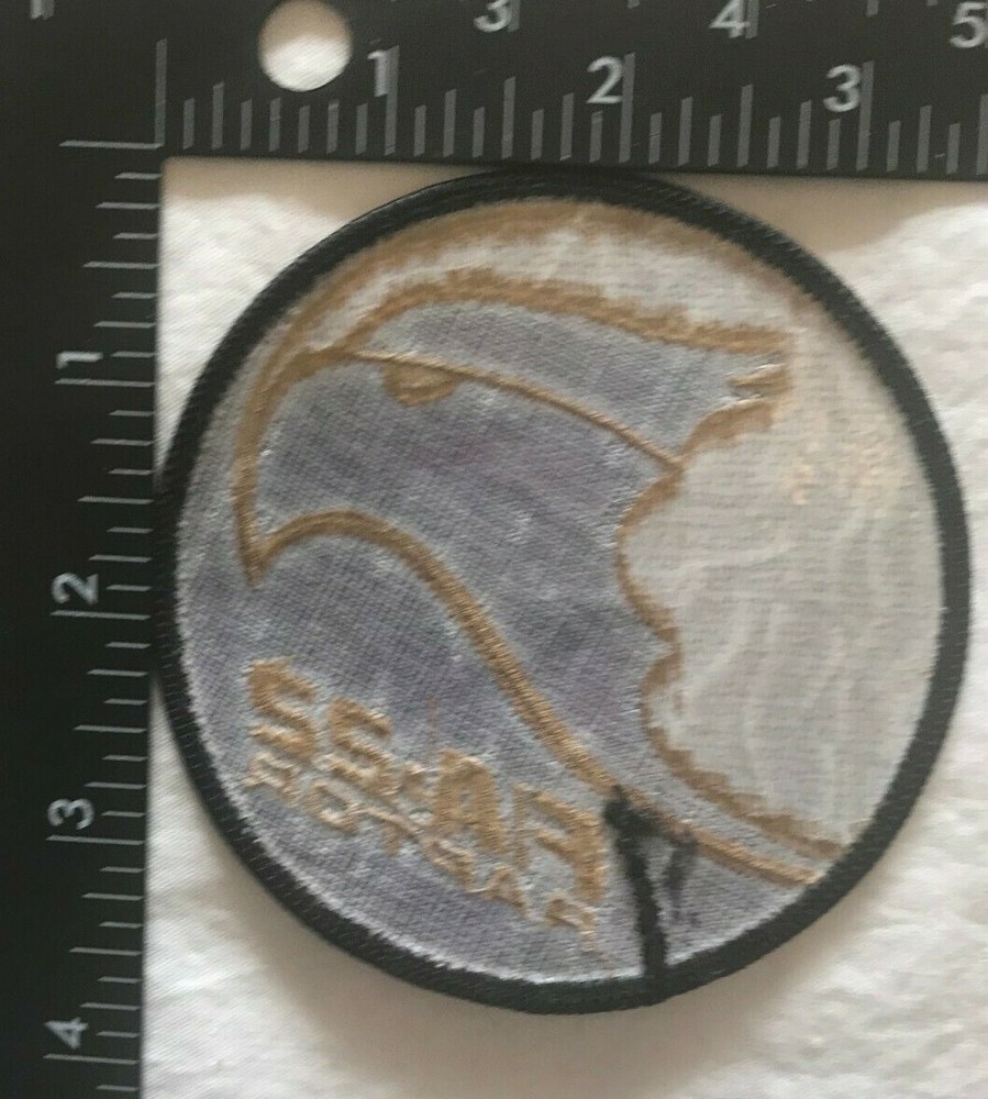 U.S. AIR FORCE F/A-22 RAPTOR PATCH (AFA) USAF