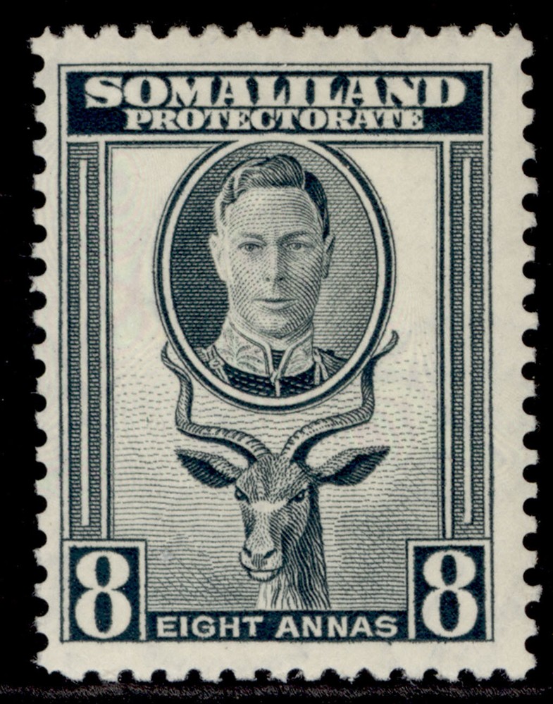SOMALILAND PROTECTORATE GVI SG111, 8a grey, M MINT.