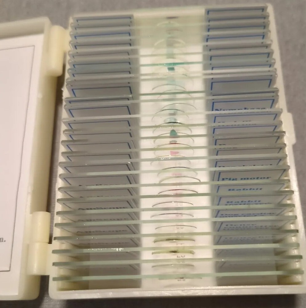 Scope 25 Prepared specimen Microscope Slides Glass with Plastic Box