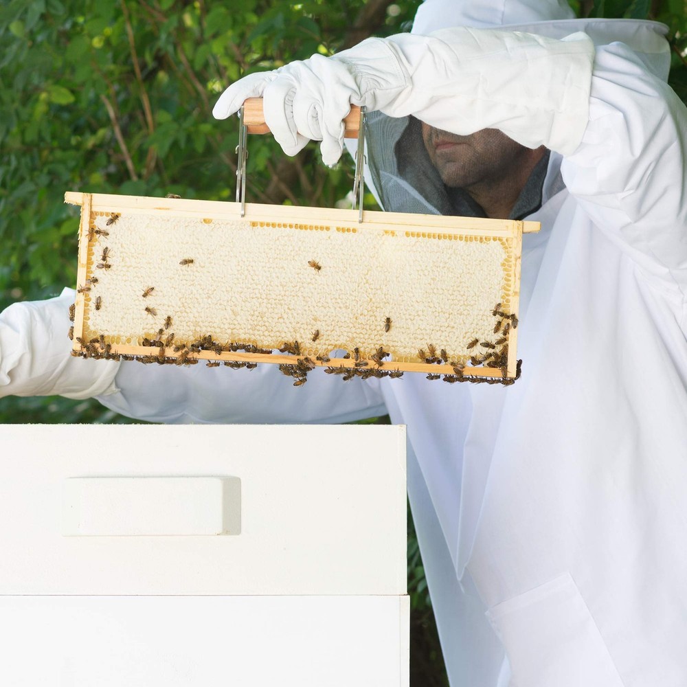 Professional White Medium Beekeeping Suit, Jacket, Pull Over, Smock with Veil...