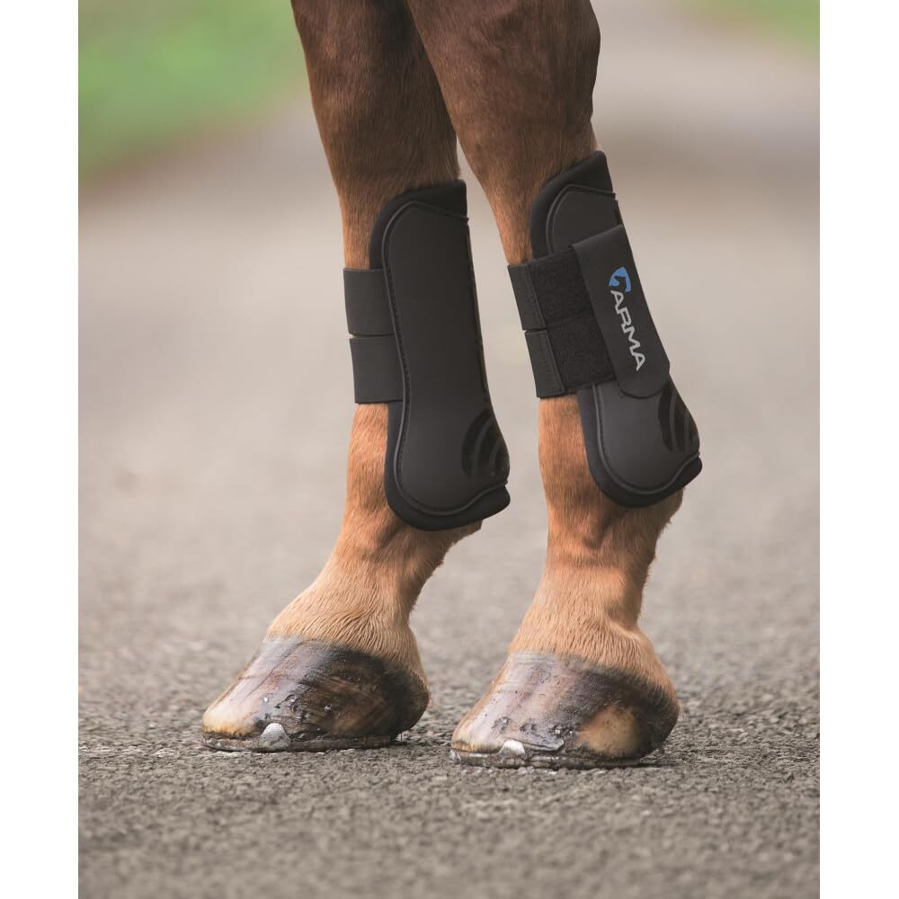 Shires ARMA Tendon Boot (Black, Cob)