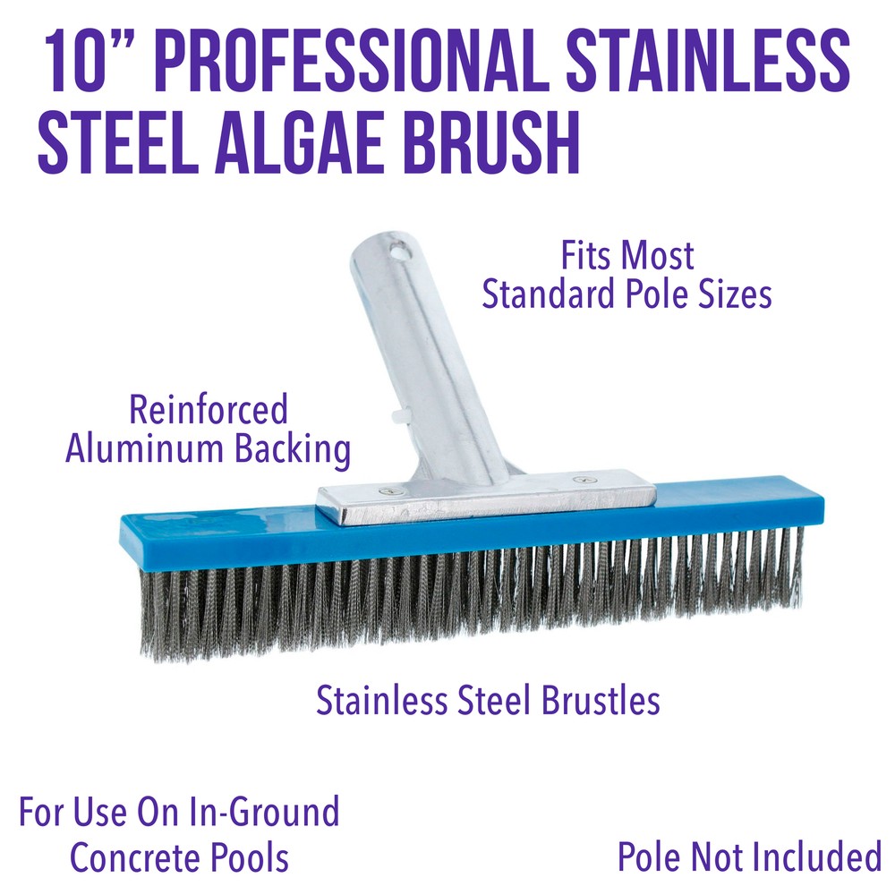 Professional 10" Stainless Steel Swimming Pool Algae Brush