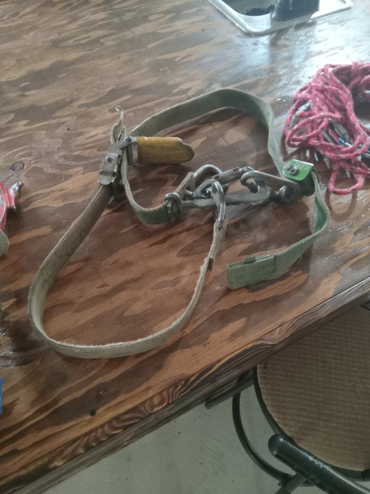Buckingham Lineman Climbing Gear with Bashlin Hooks