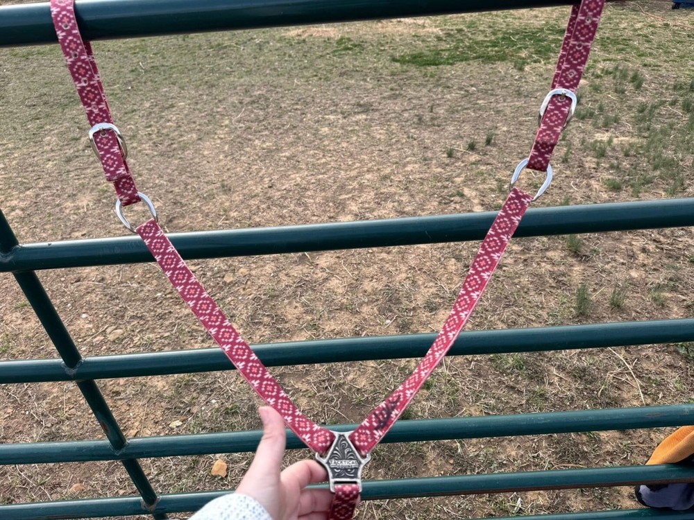 Tacktical Breastcollar signed by Fallon Taylor (Sheridan pattern)