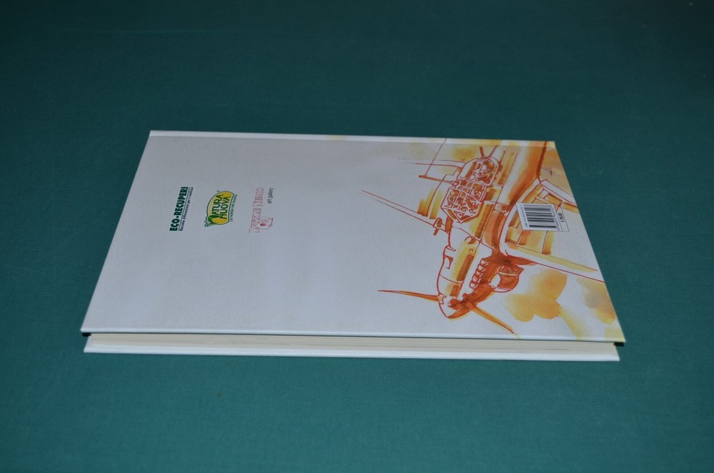 Stefano Babini CIELO DI FUOCO Dada Editor 1^ 2011 Edition
