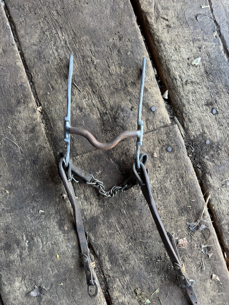 Good Condition Metal Horse Bit