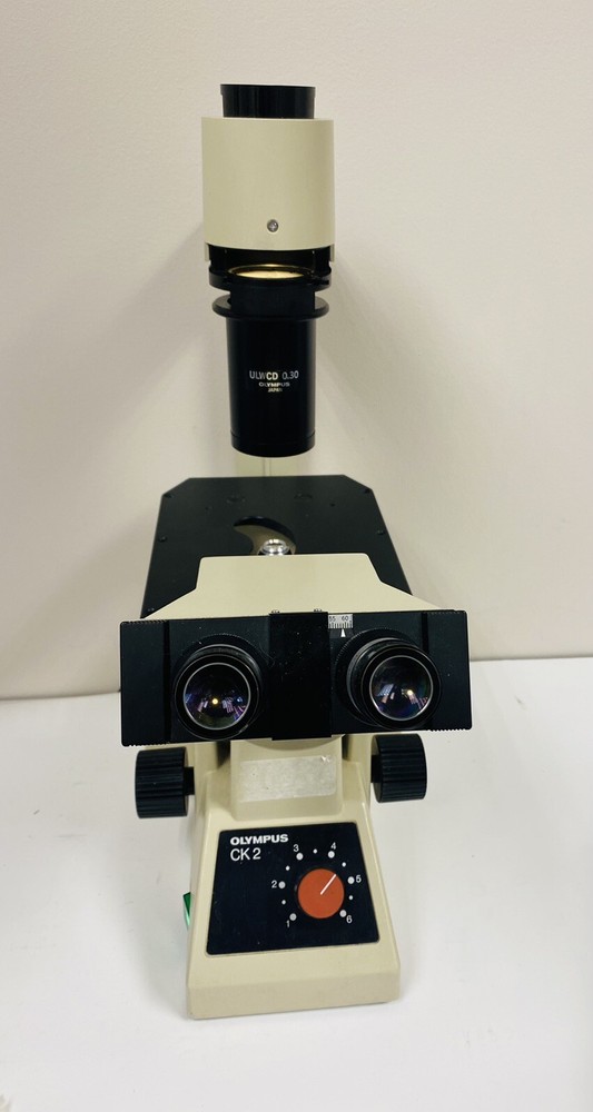 Olympus CK2 Inverted Binocular Microscope