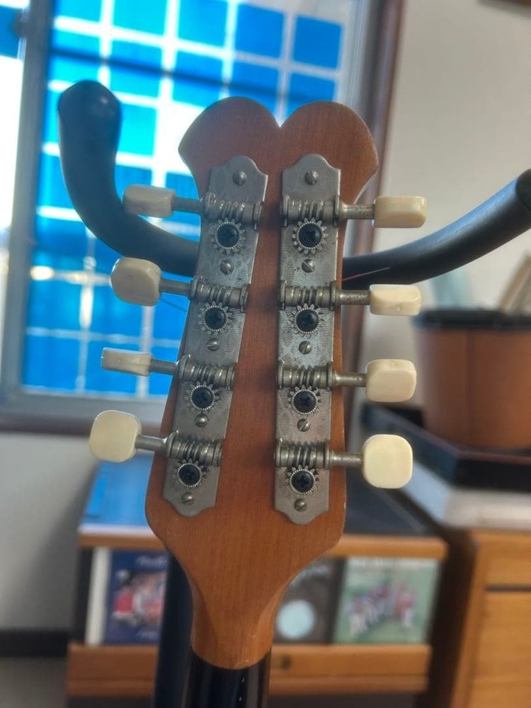 wooden 8 string mandolin