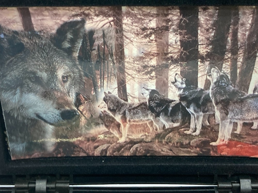 Wolf Pack Commemorative Knife in Presentation Box WPCKT