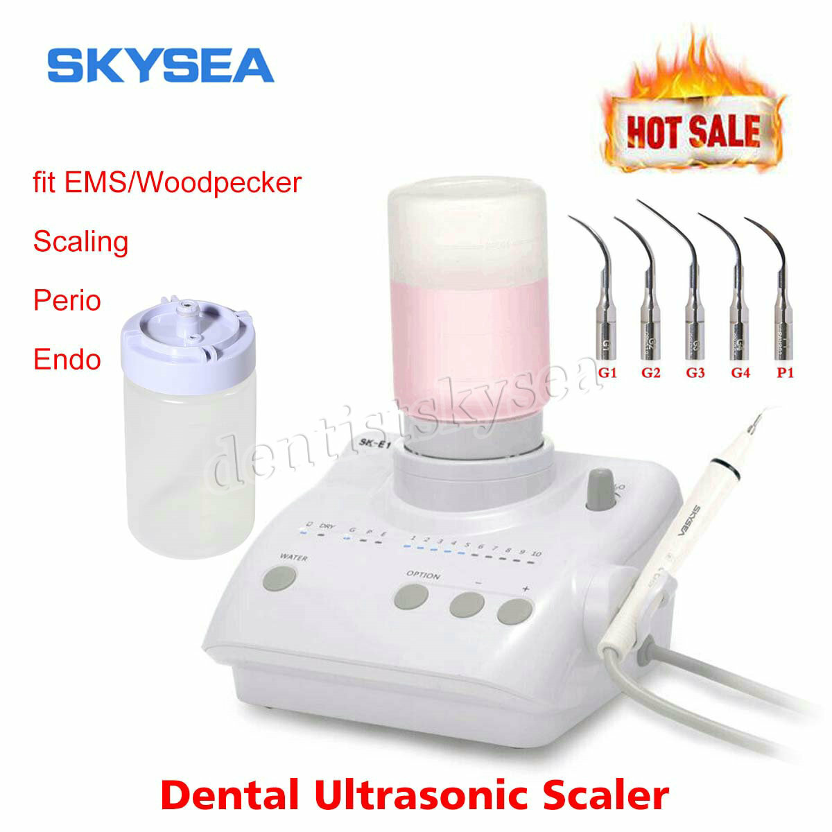 Dental Portable Ultrasonic Piezo Scaler 2*Bottles fit Cavitron EMS Handpiece