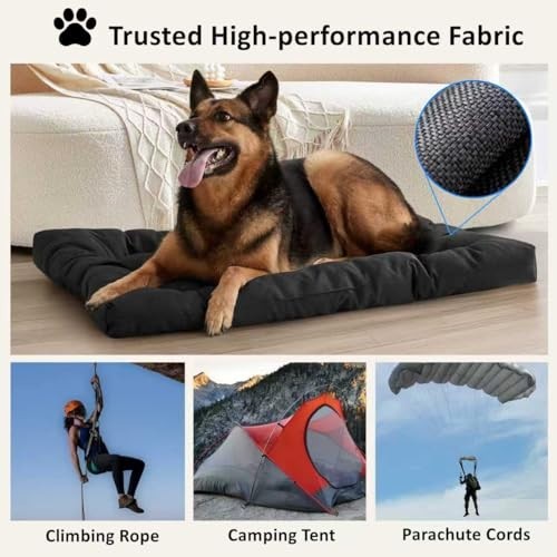 Methylene Blue 2% Solution 120mL – Lab & Aquarium Use Only