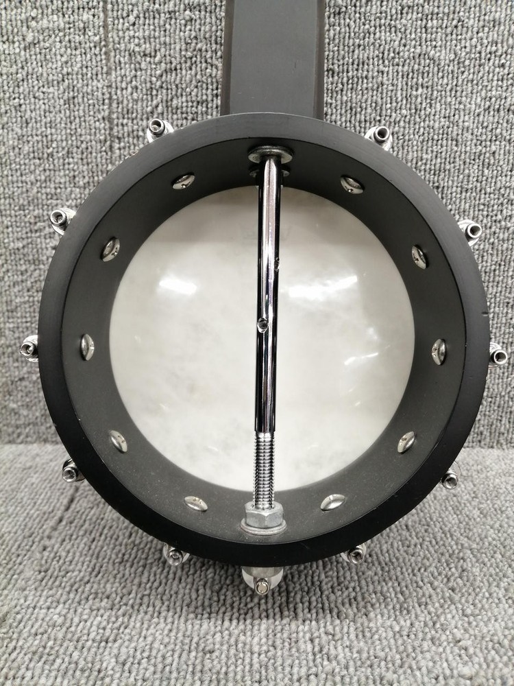 ARIA SB-JUK Banjo-01