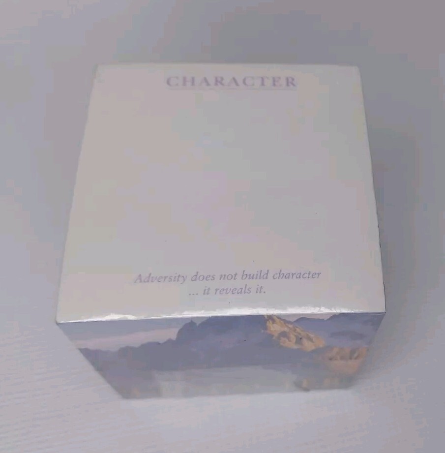 Stik Withit Memo Note Cube Adversity Does Not Build Character ... It Reveals It