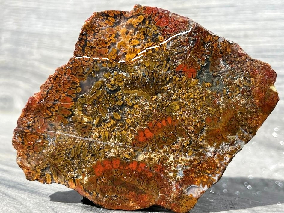 East Java Plume Agate - Indonesia 3.75"x3" High Grade Lapidary Rough Slab