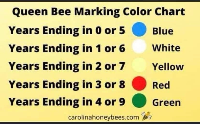 BEEKEEPERS QUEEN MARKING PEN SET