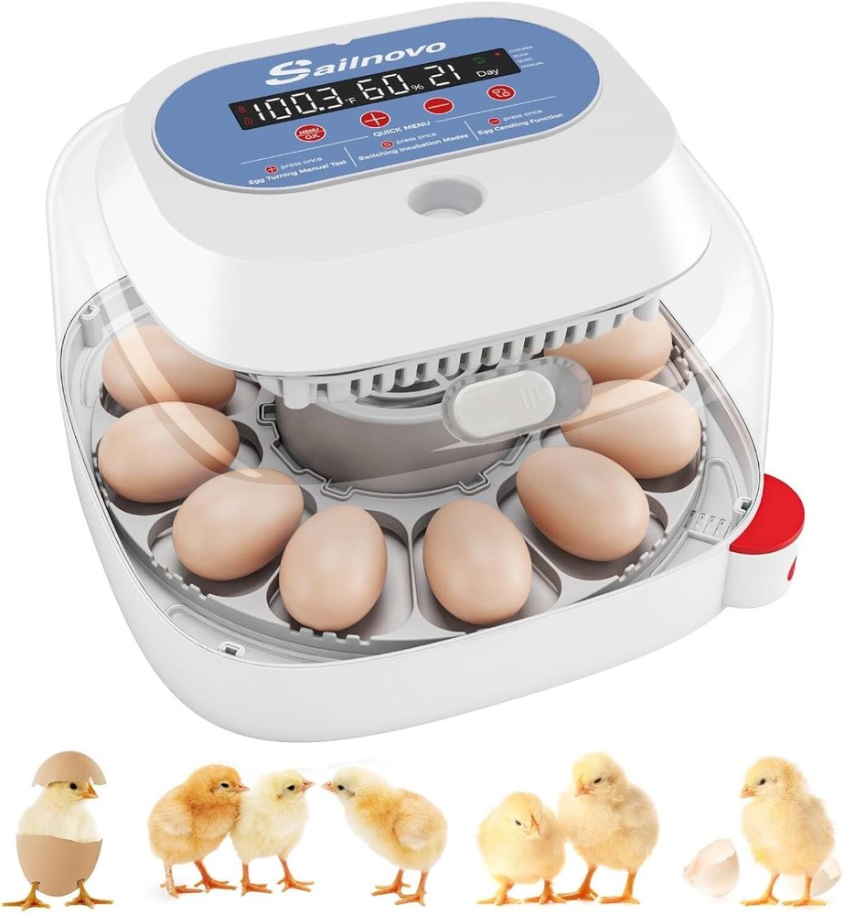 Multi-Capacity Egg Incubator with Auto Turning & 360° View for Chicken Hatching