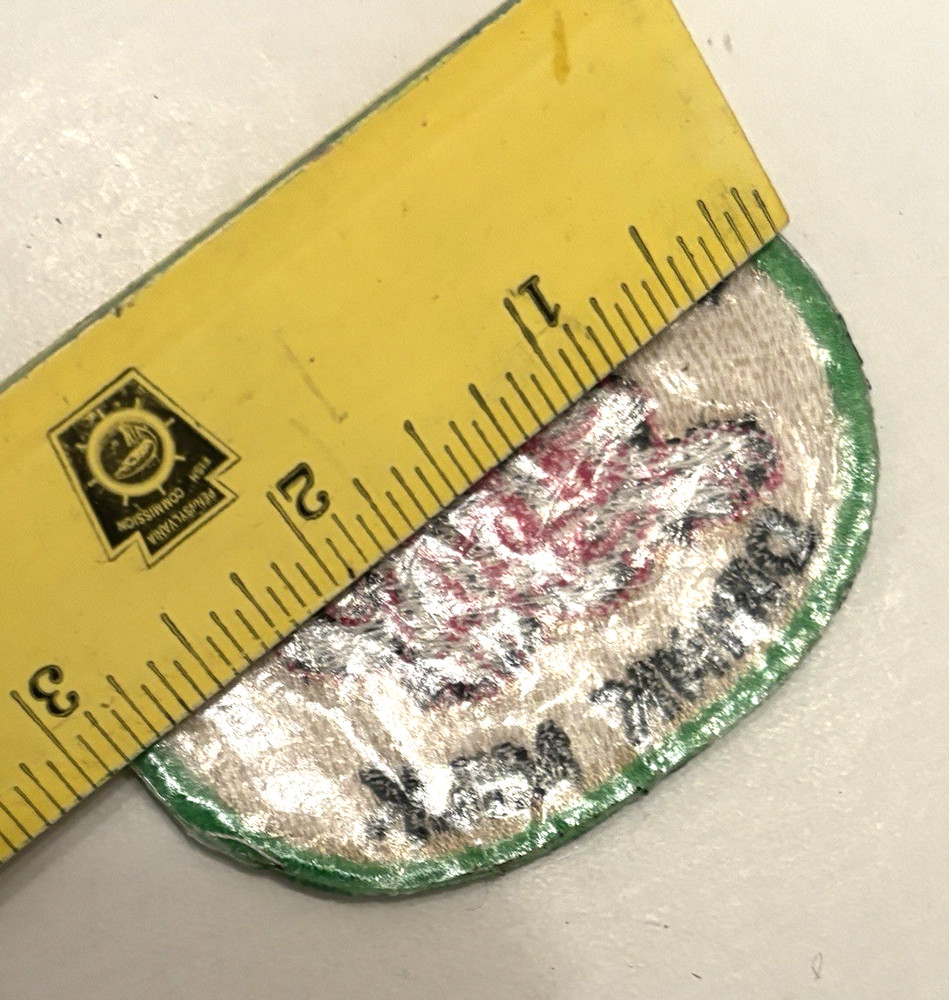 KITTY CAT DRIVERS DRINK MILK PATCH - SKI SNOWMOBILE - RETRO