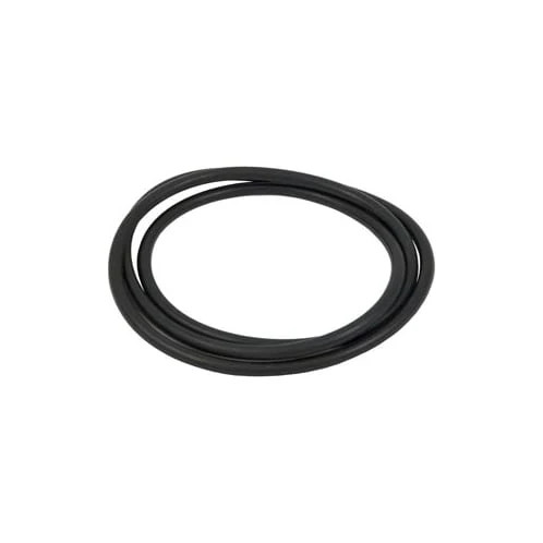 Hayward Body O-Ring - CCX1000G