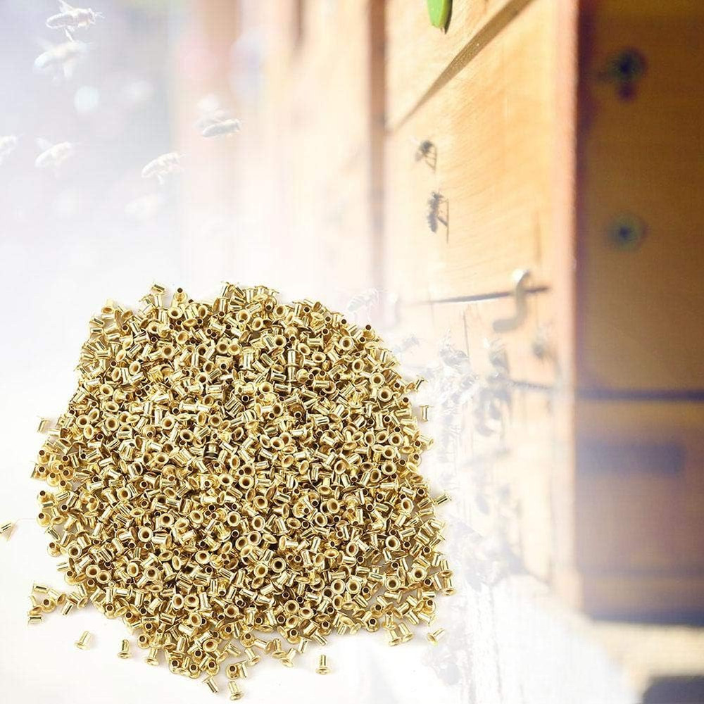 Bee Hive Beehive Brass Nest Frame Eyelets Beekeepers Tools, Beekeeping Eyelets S