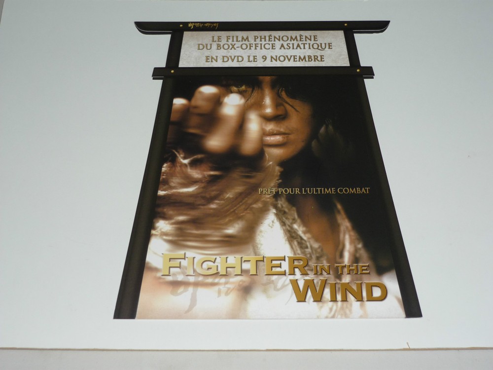 Fighter In The Wind FRENCH PROMO CARD + FLYER SUPERB CONDITION