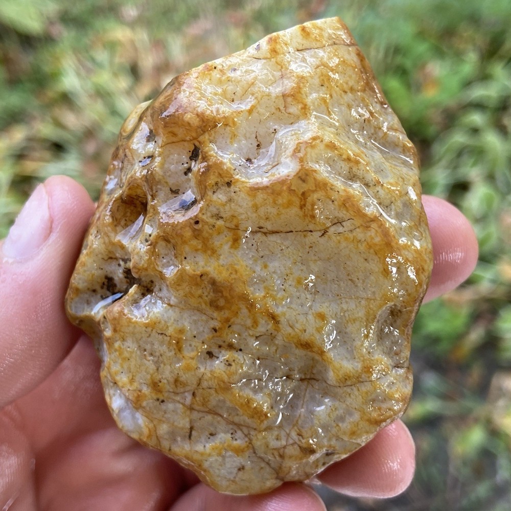 Custard Banded Agate Rough 5.55 Oz