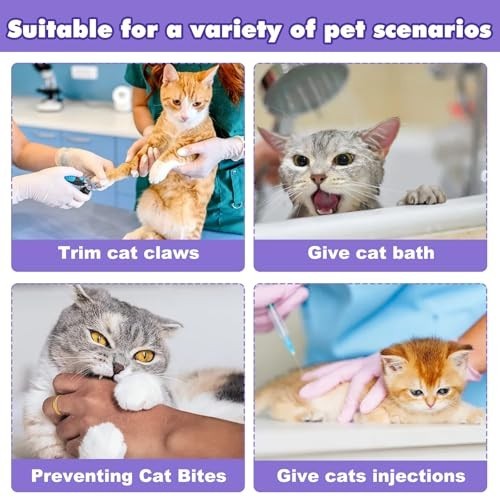 3PCS Cat Muzzle Set - Breathable Transparent Muzzles for Grooming & Restraint -