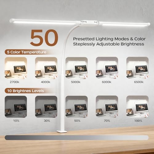 LED Desk Lamp with Clamp, Double Head Adjustable Architect Light, Eye White