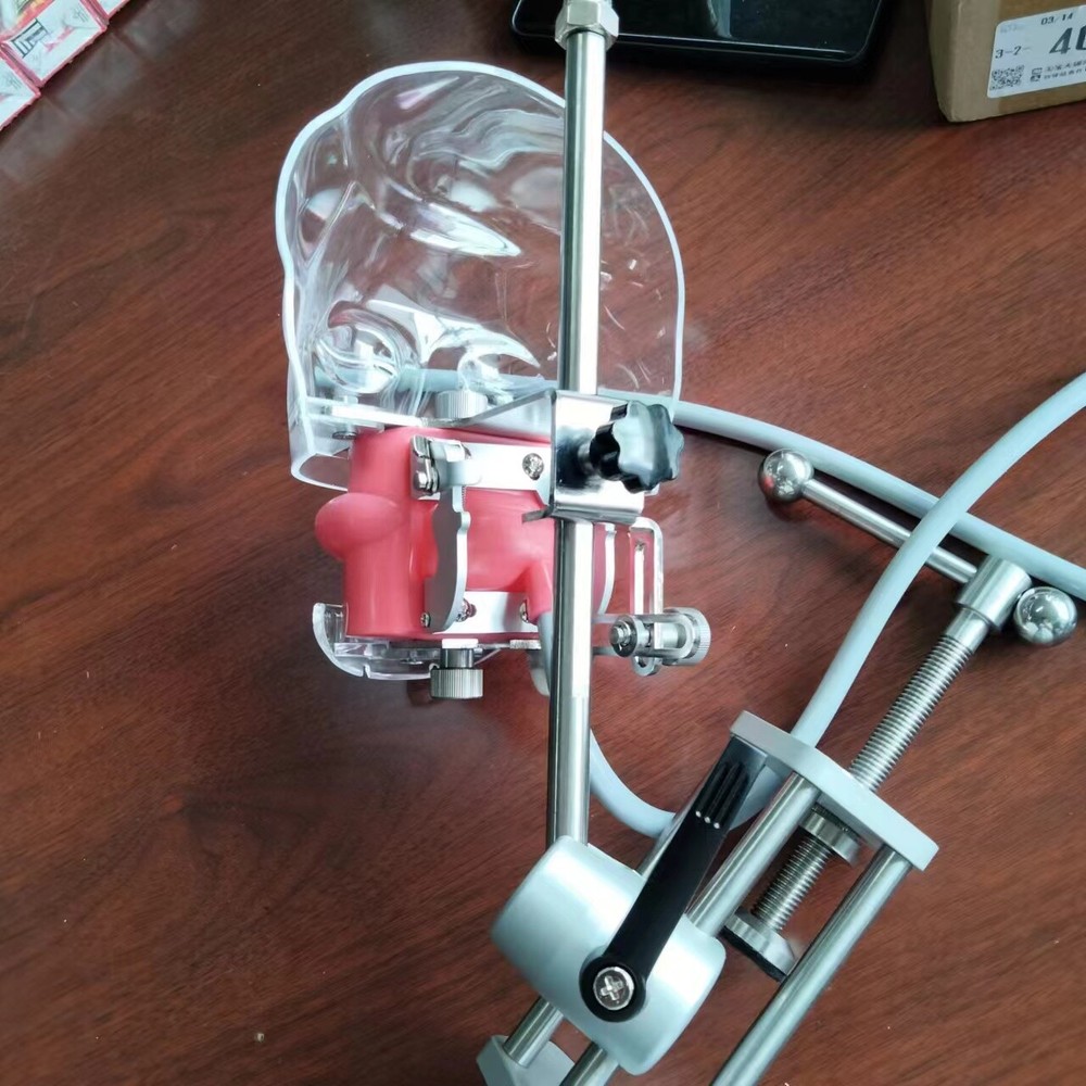 Dental Simulator Phantom Head Model Dental Preparation Support Display