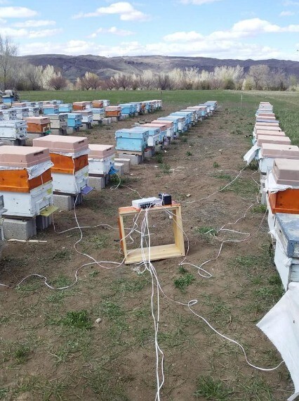 Bee Venom Collector Machine, Raw bee venom collector, Bee venom machine set 2