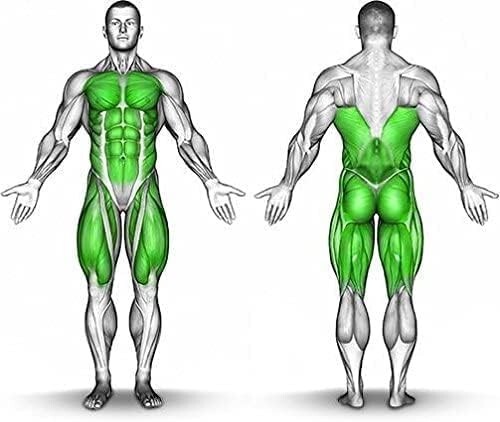 MPA VasoBurn Fat Burner Gel - 7oz Topical Fat Burner **NEW** **FREE SHIPPING!**