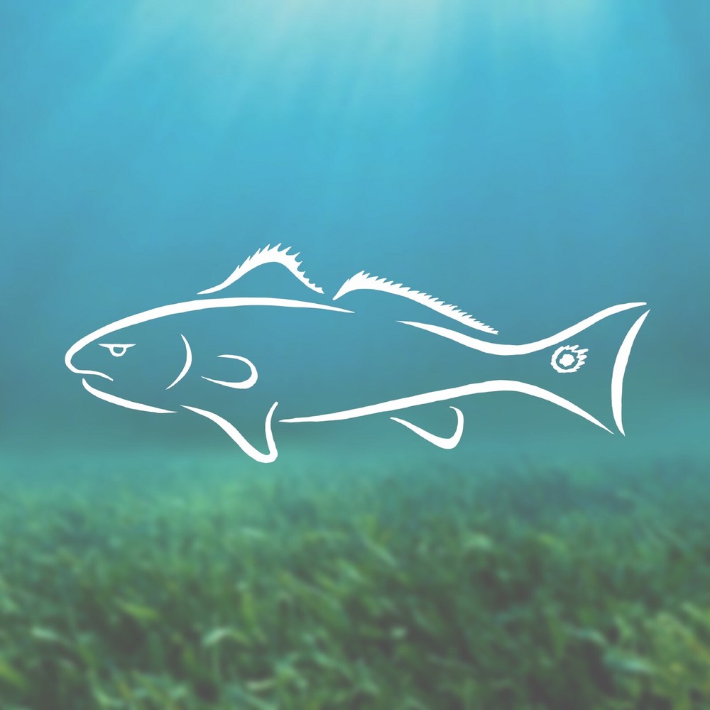 Redfish Decal, Redfish Sticker, Tailing redfish, redfish tail sticker