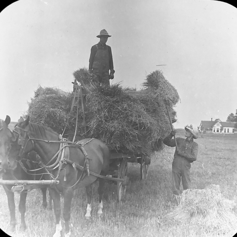 Vtg Magic Lantern Glass Slide Photo Keystone Loading Oats In Field Illinois