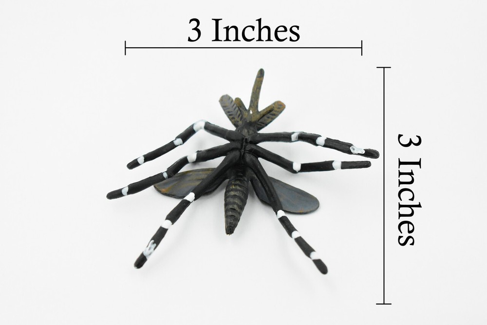 Mosquito, Realistic Toy Figure, Model, Replica, Educational Bug 3" CH232BB119