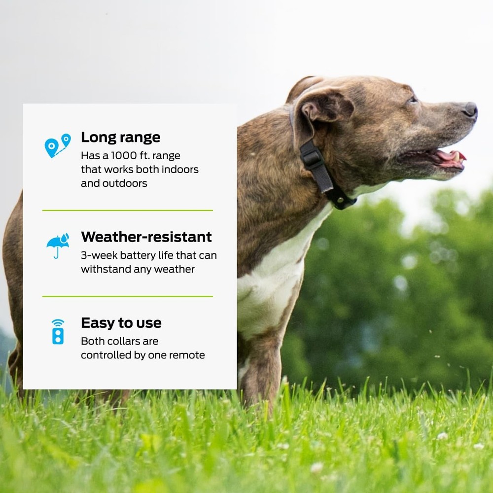 Dog Shock Collar - Safe Behavior Training - 1000ft Long Range Training Shock ...