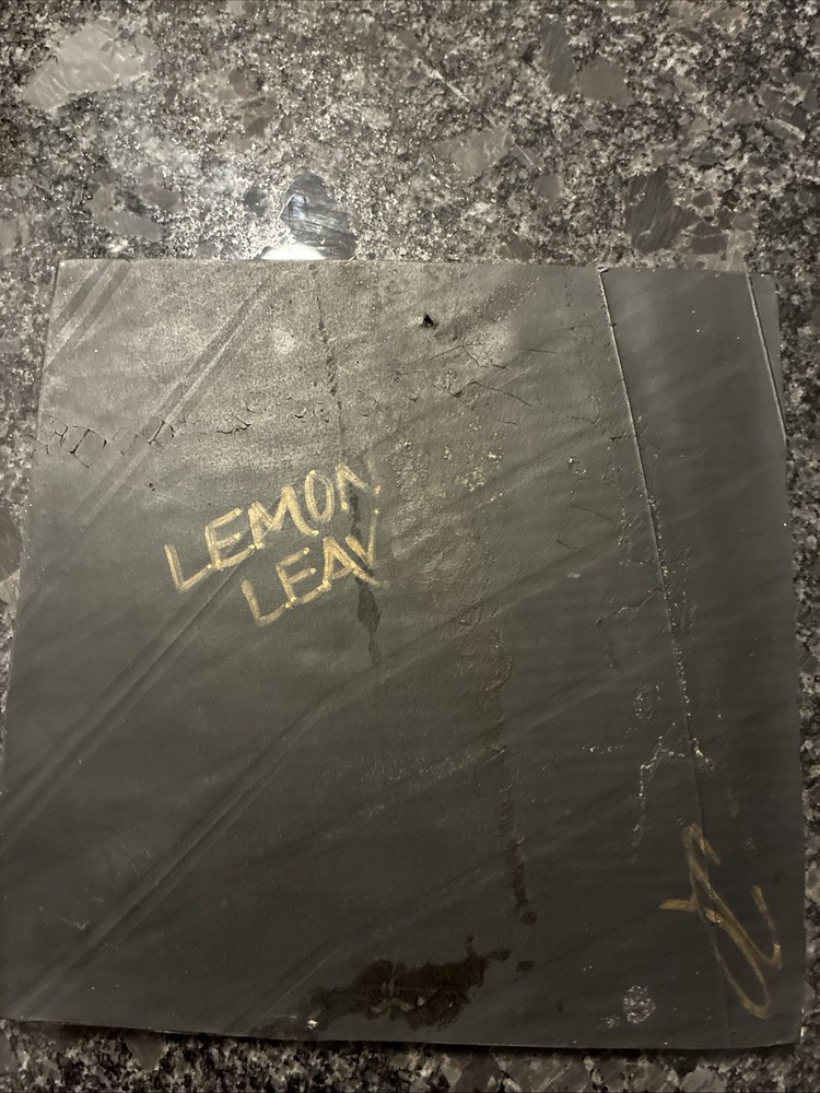 Luz-Maria Lemon Leaf Imprint Decorative Tile Trivet