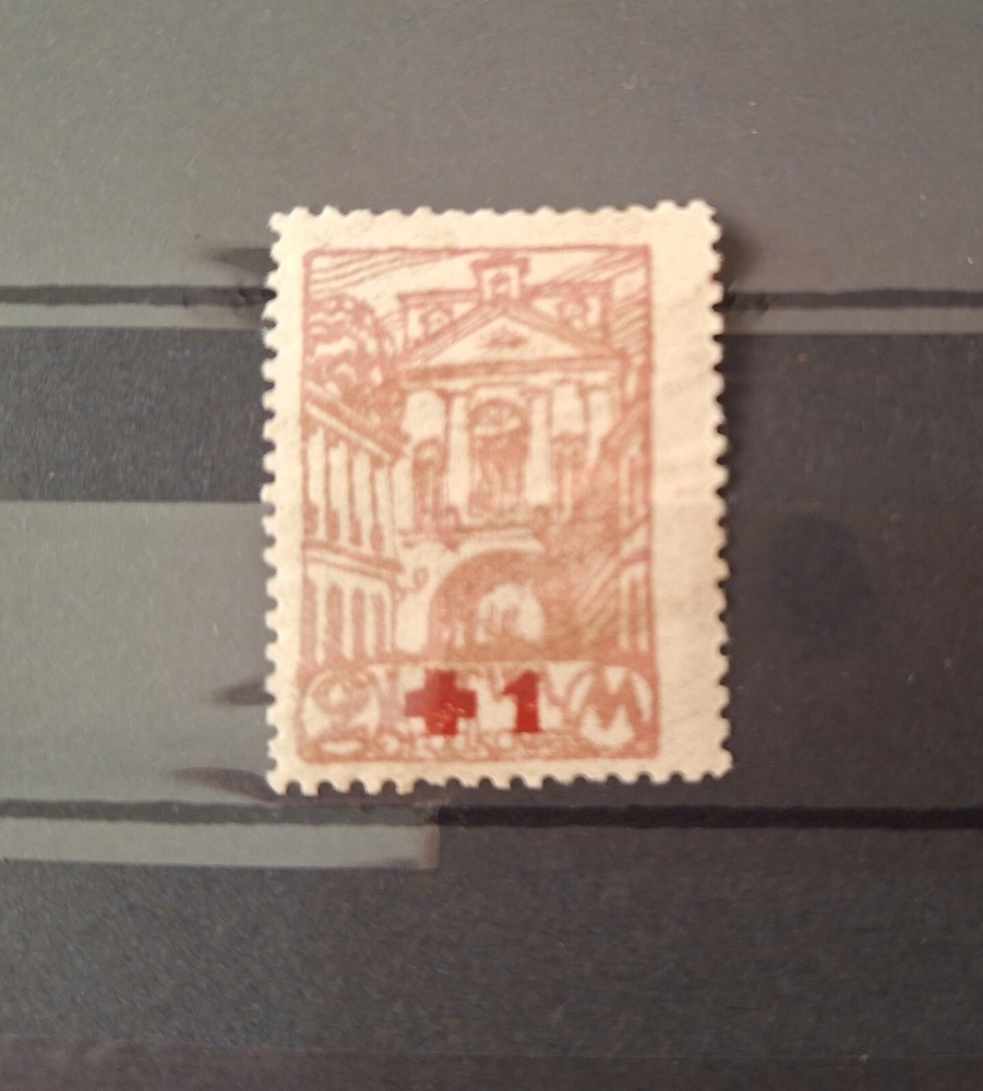 Central Lithuania - 1920 - Vilnius view - 2M overcharged