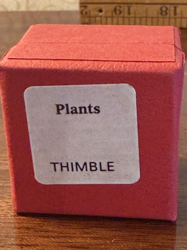 Spode Thimble SPODE'S Fine PLANTS China England In Box