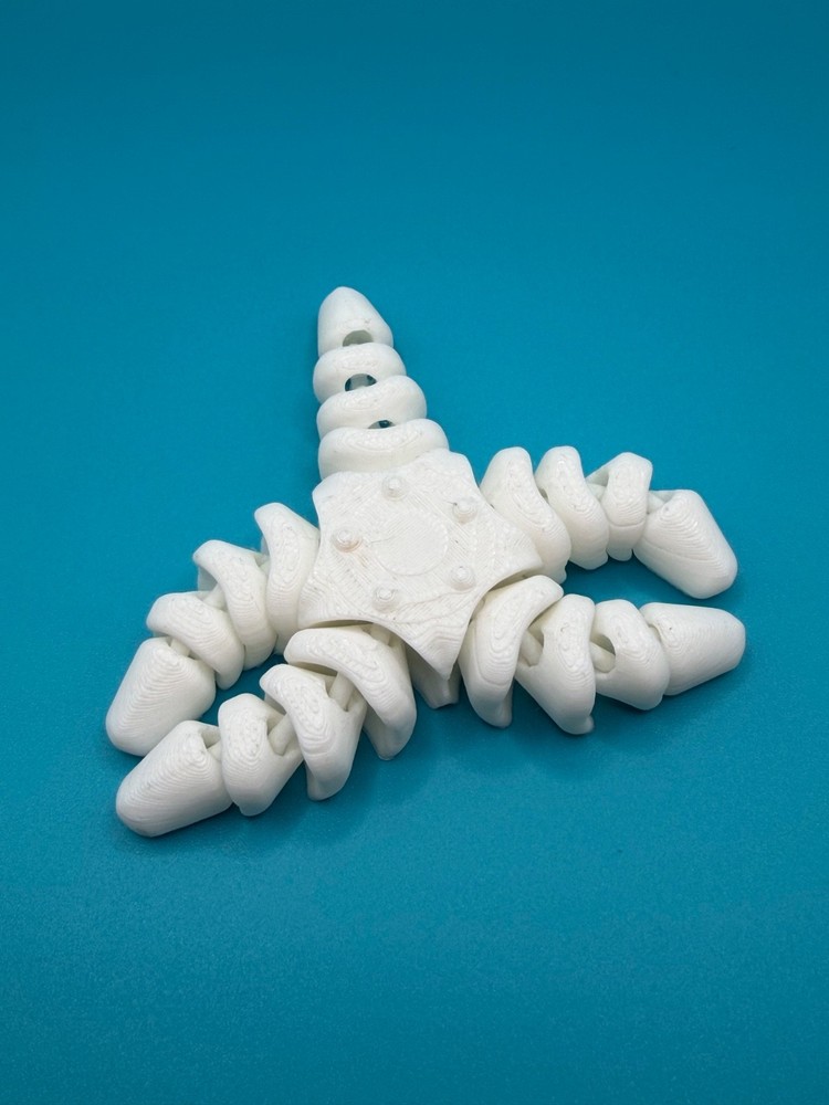 Articulated Starfish 3D Printed