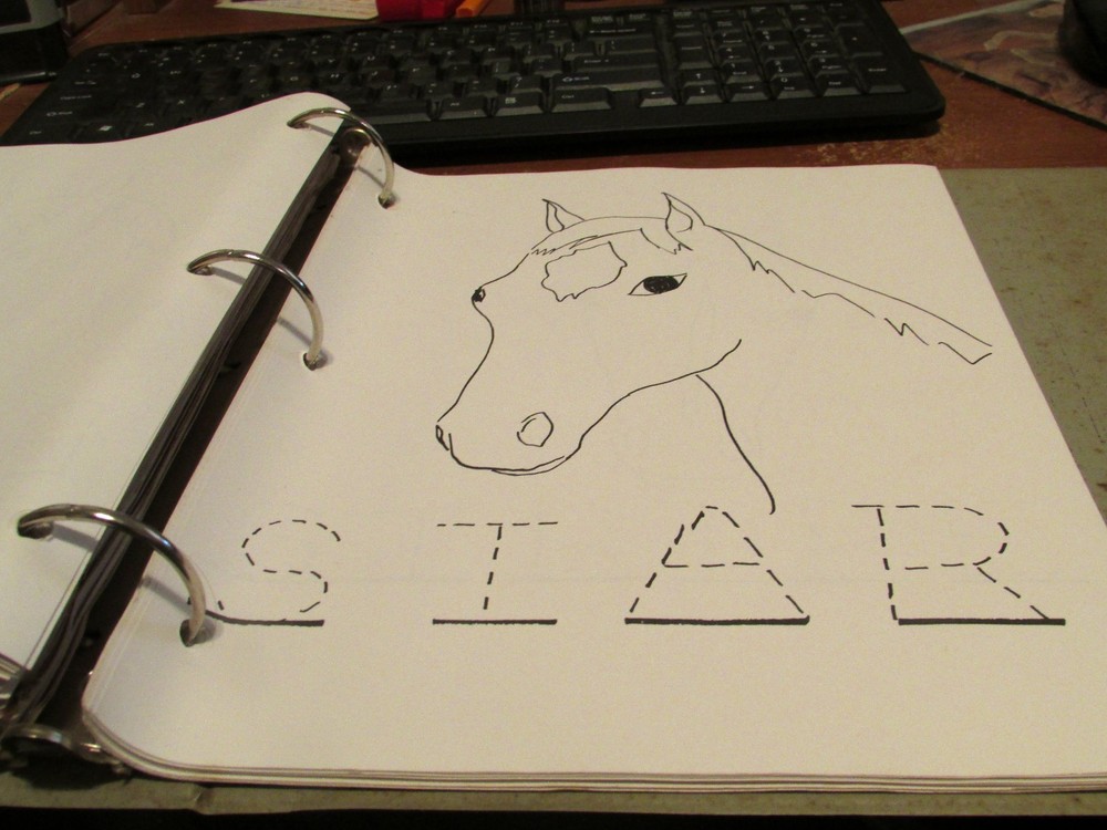 1991 NARHA Complete Riding Program for Therapeutic Horses Therapy Lessons