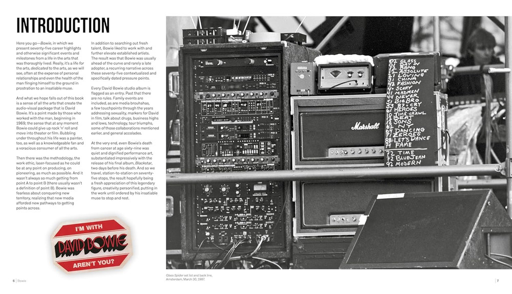 David Bowie: Rock 'N' Roll Chameleon