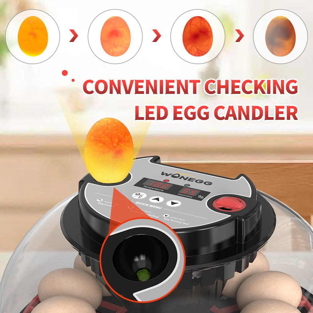 Incubators for Hatching Eggs，12 Egg Incubator,Egg Incubator with Automatic Egg T