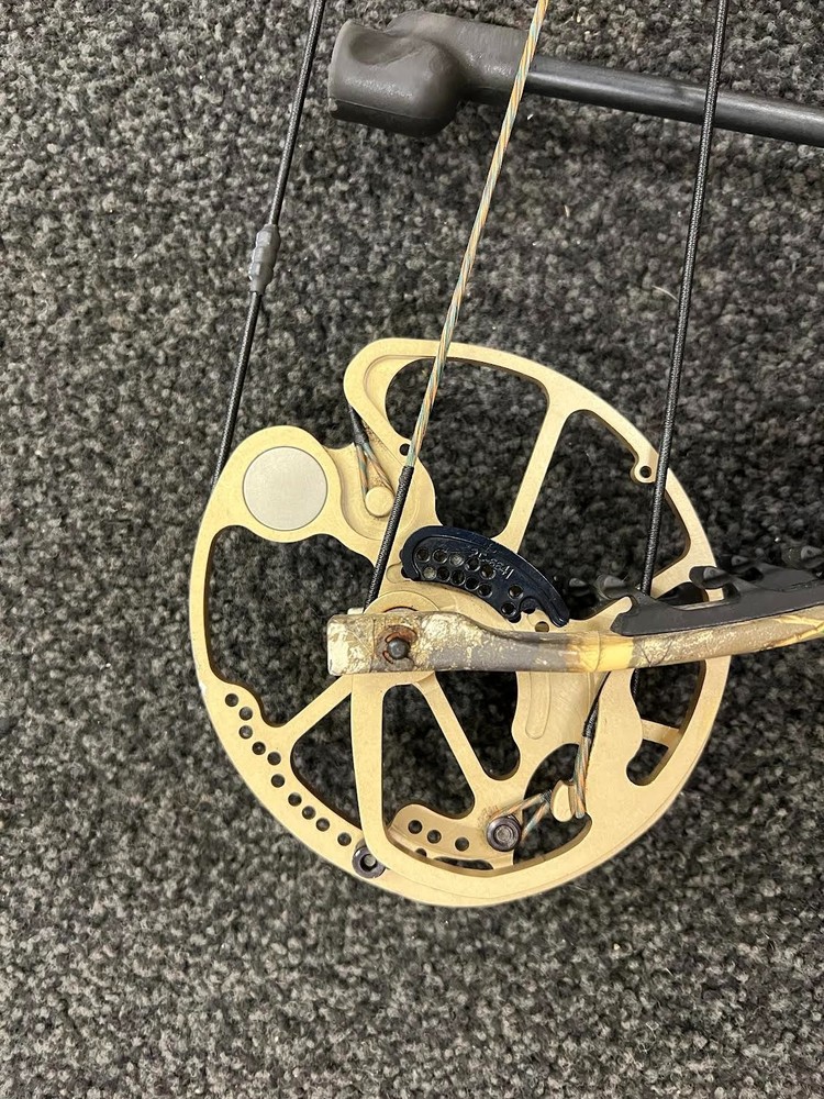 bear approach compound bow