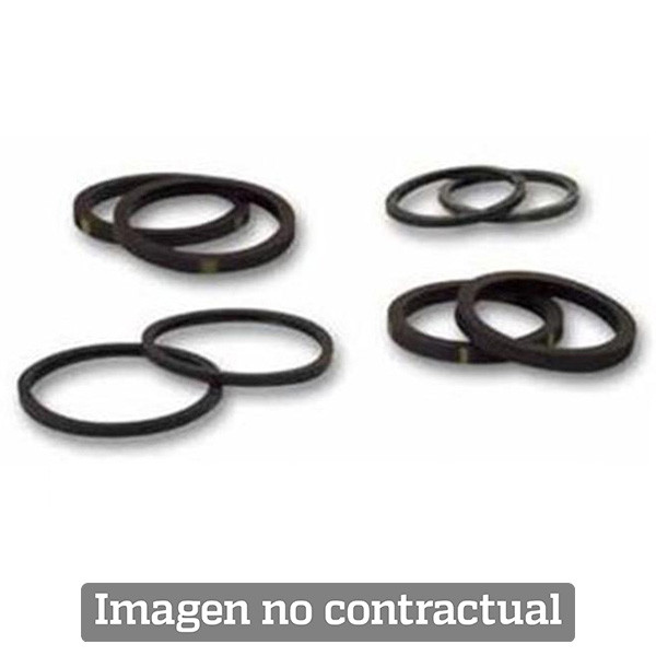 NISSIN Front brake caliper seals kit