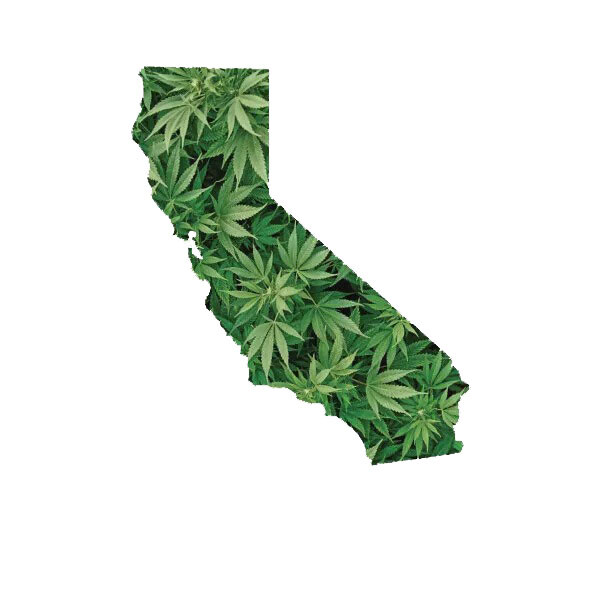 California Marijuana Sticker Decal