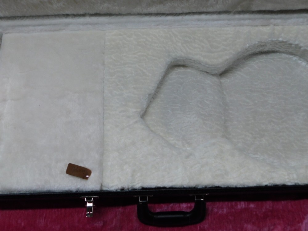 Gibson Les Paul Standard-Custom Case RARE New