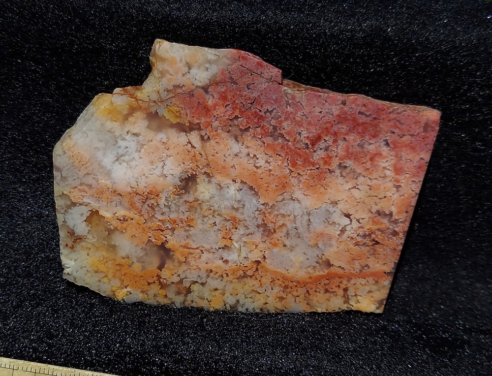 Feather Ridge Plume Agate Slab